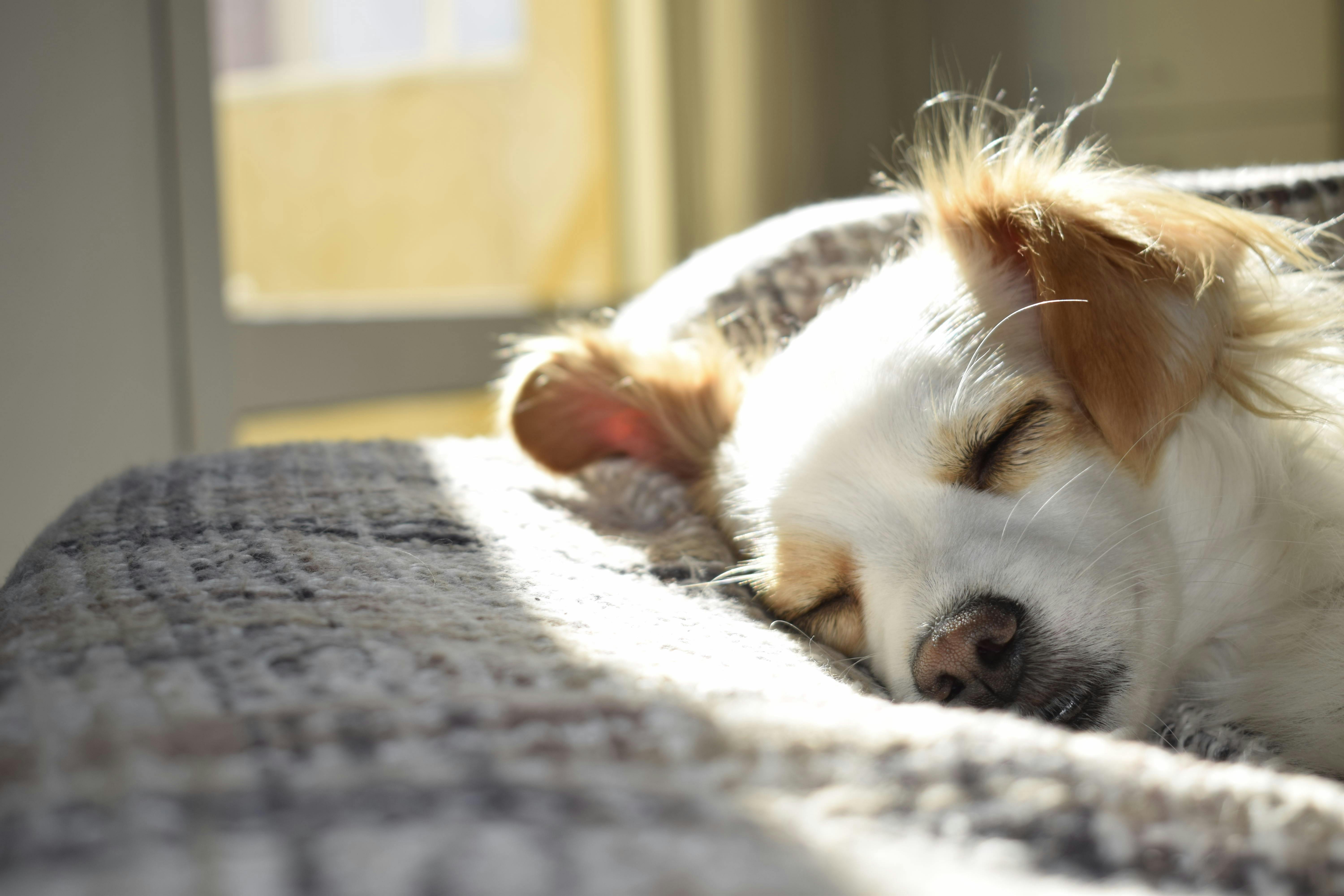 Sleeping